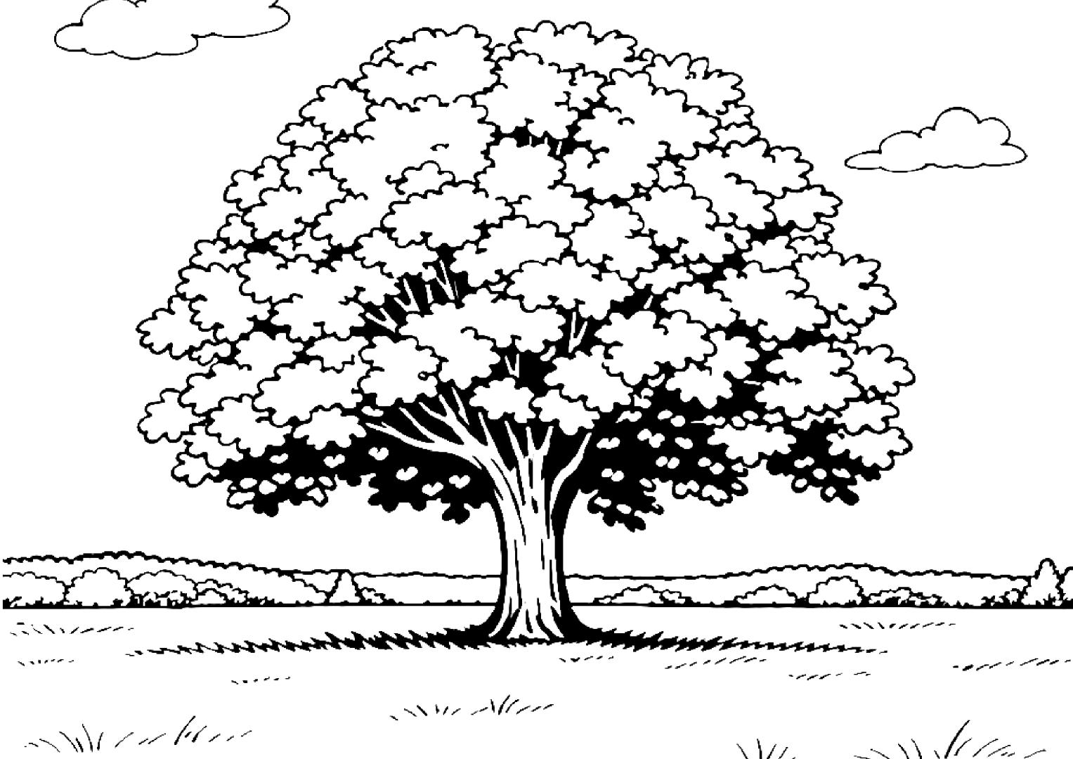 19/06 – L&rsquo;homme qui plantait des arbres